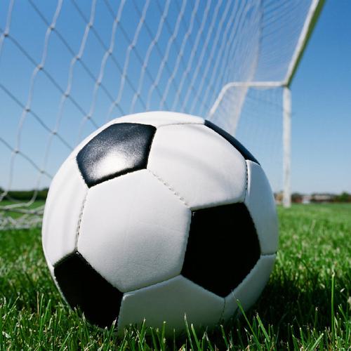 泛站群是怎么回事